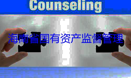 委副书记王资产监督管有福接受审查调查海南省国有理委员会党